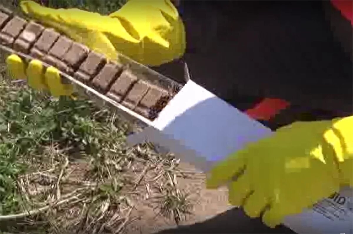    Новосибирскую область полностью обеспечили вакциной против бешенства