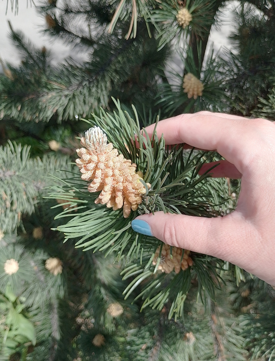 Фото автора.