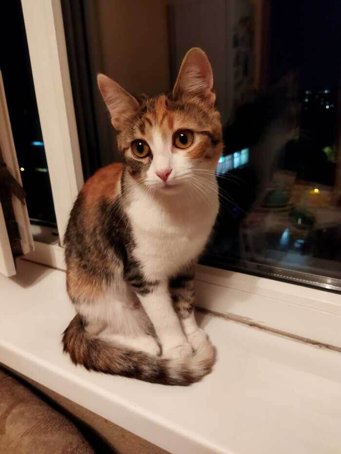 Листайте вправо, чтобы увидеть больше изображений