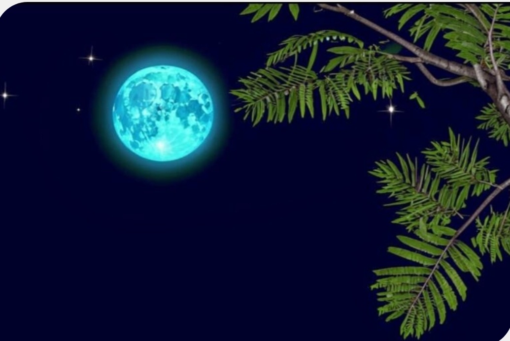 Фото с простор интернета 