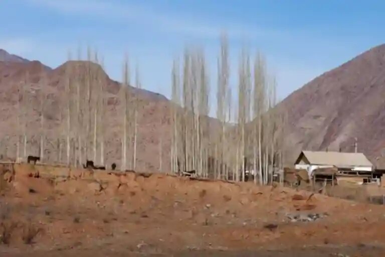    Кадр из видео aifstan.info