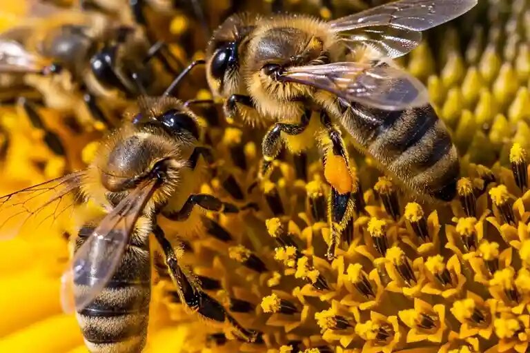    aifstan.info aifstan.info