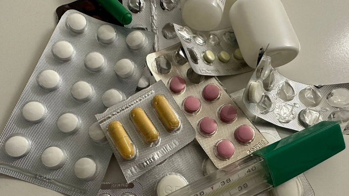    Фото: телеканал «Краснодар»