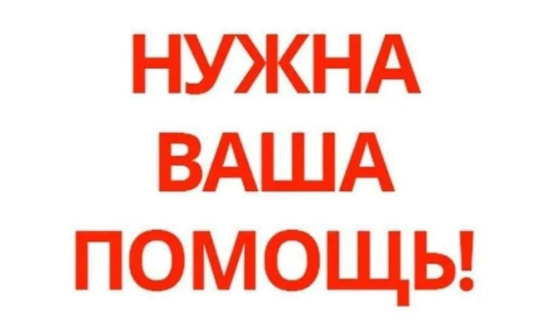 Фото взято из открытых источников. 