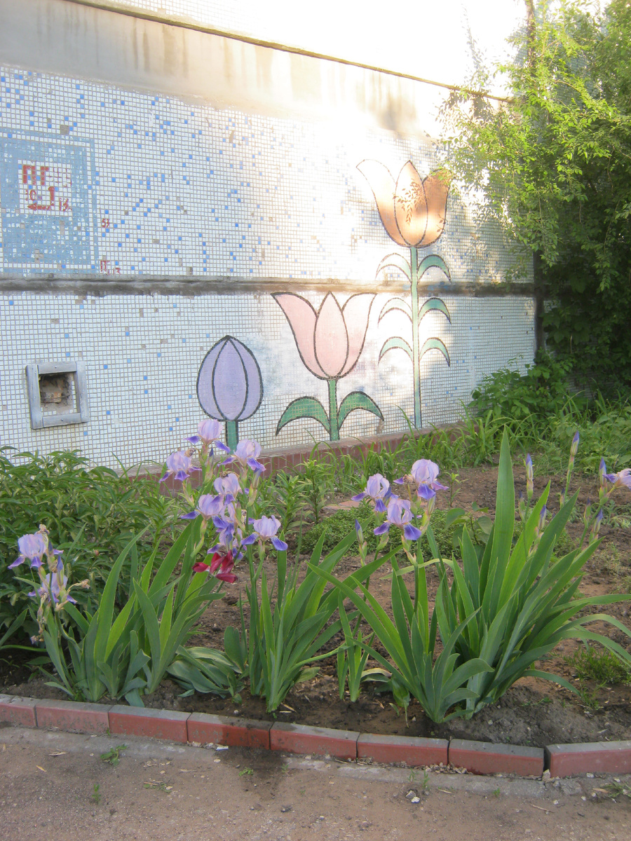 Это история про теорию разбитых окон, вандализм и психотерапевтическую силу искусства.