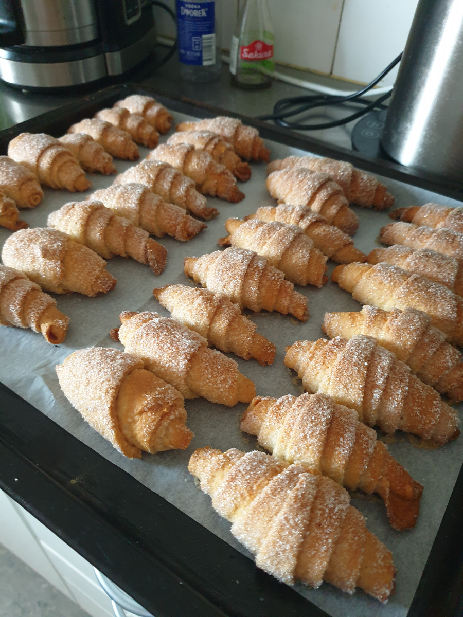 ФОТО ИЗ ЛИЧНОГО АРХИВА АВТОРА. РОГАЛИКИ