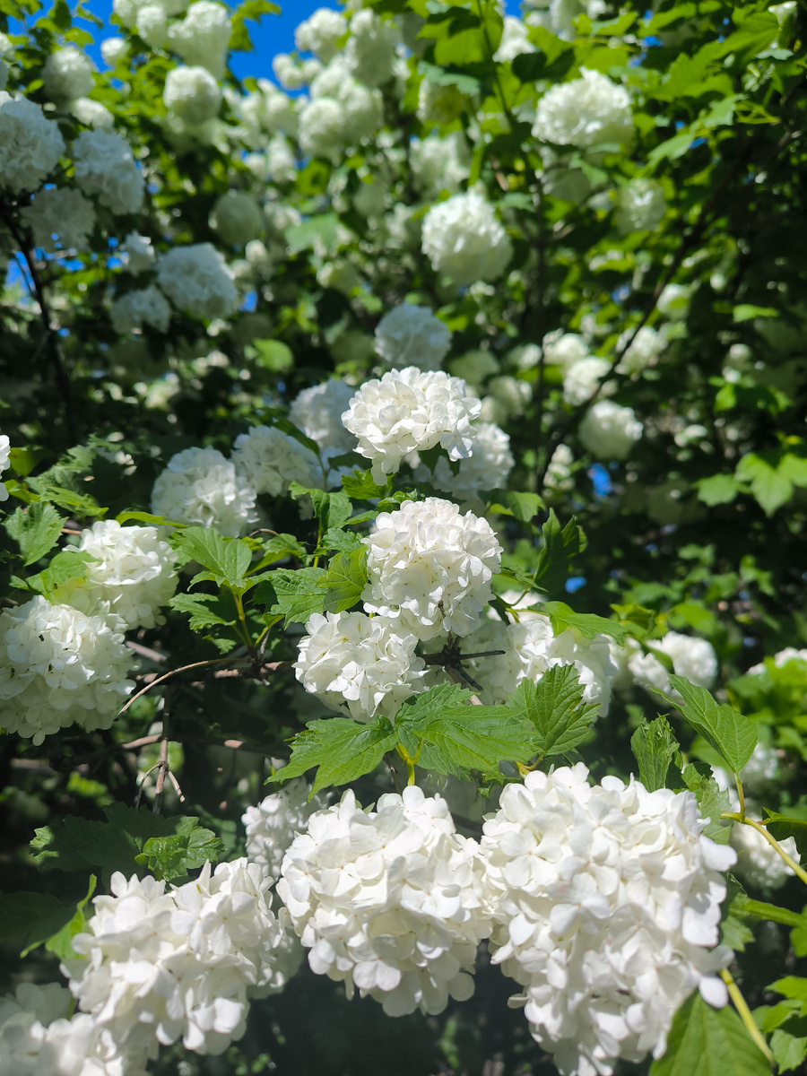 Фотографии в статье авторские. 