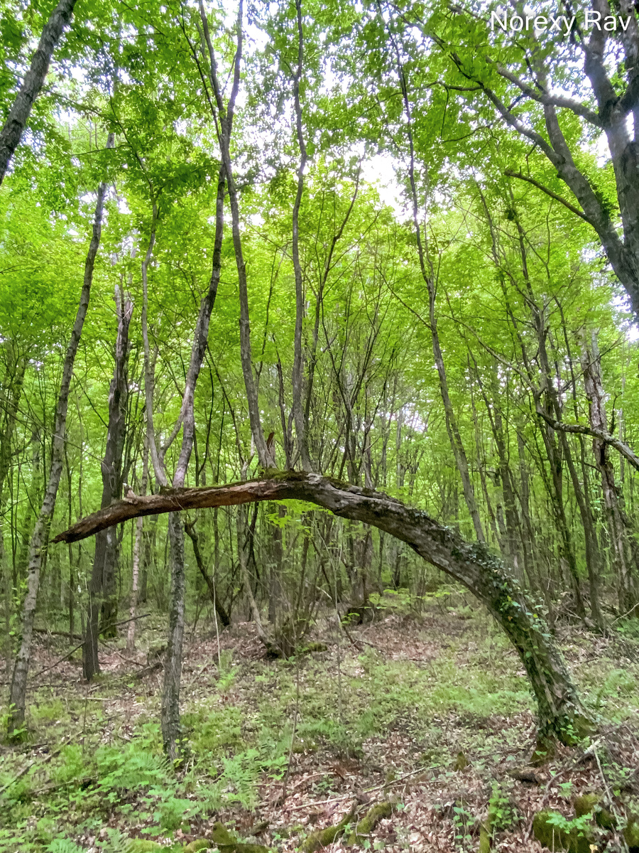 Жизнь поднагнула)