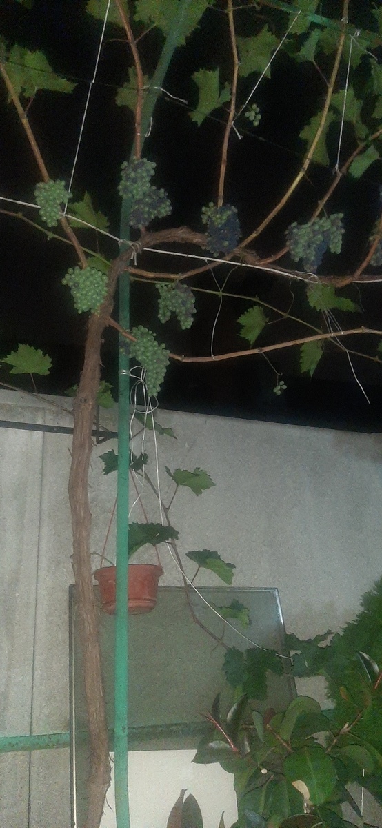 Фото подписчика 