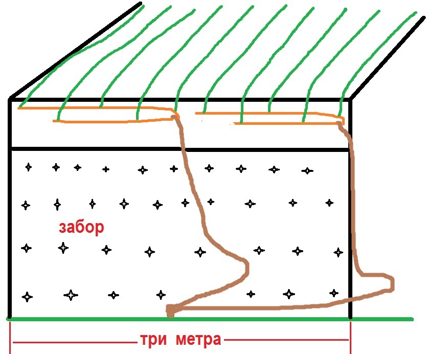 Схема формировки перголы при наличии рядом забора 