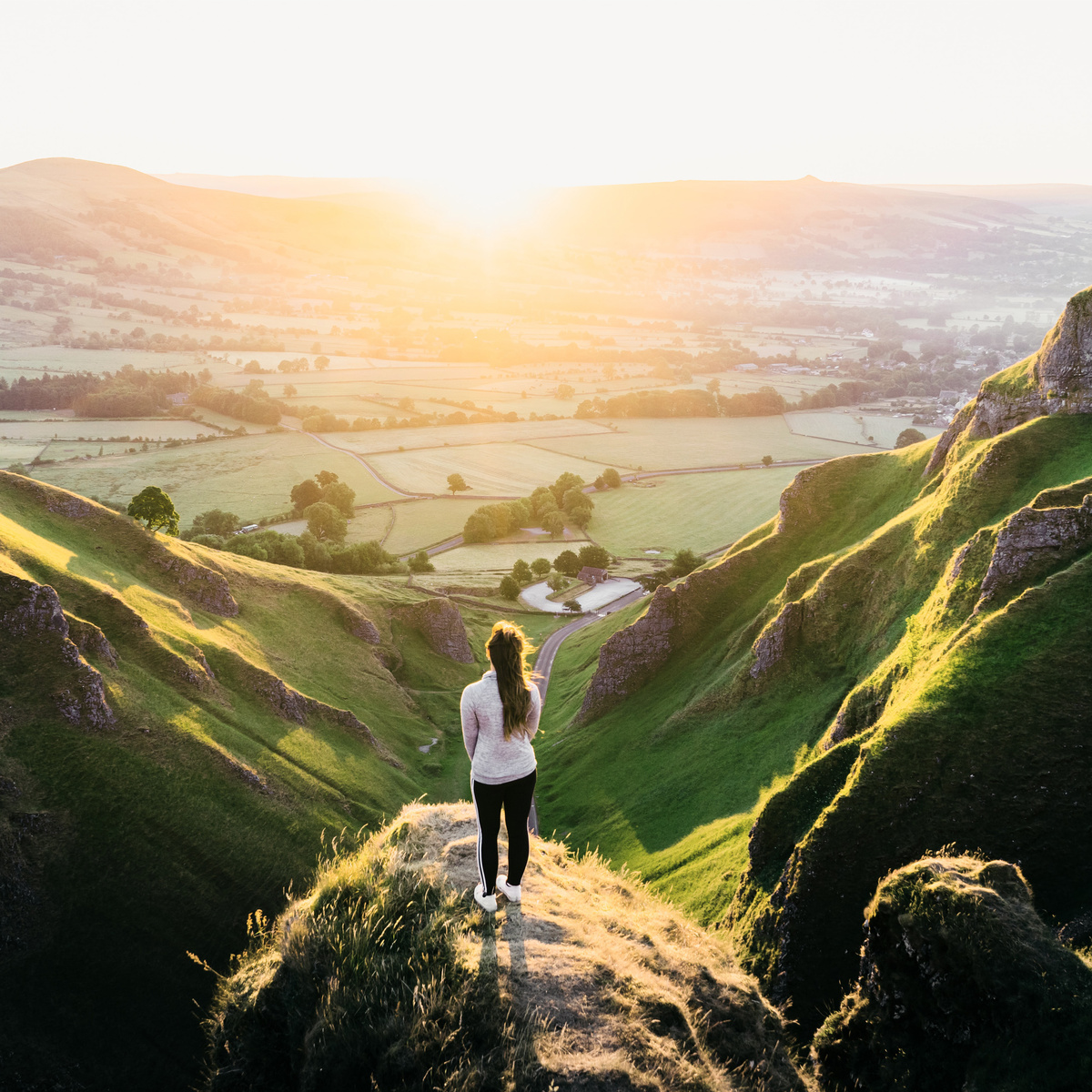 Яндекс картинки