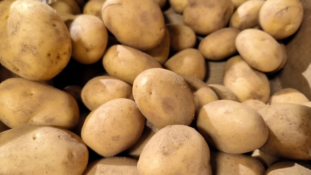    Maksim Konstantinov/Globallookpress