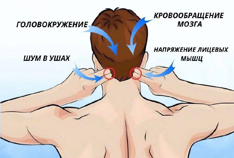 Кровь застаивается в этих точках: как правильно массировать, чтобы улучшить кровообращение и вернуть молодость лицу