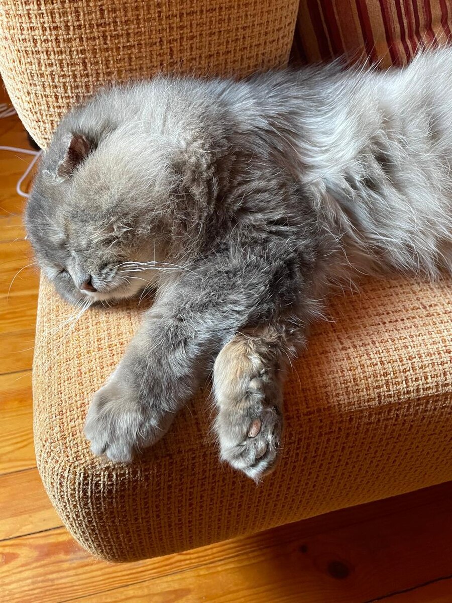 Перед прятками всегда надо хорошо отдохнуть!