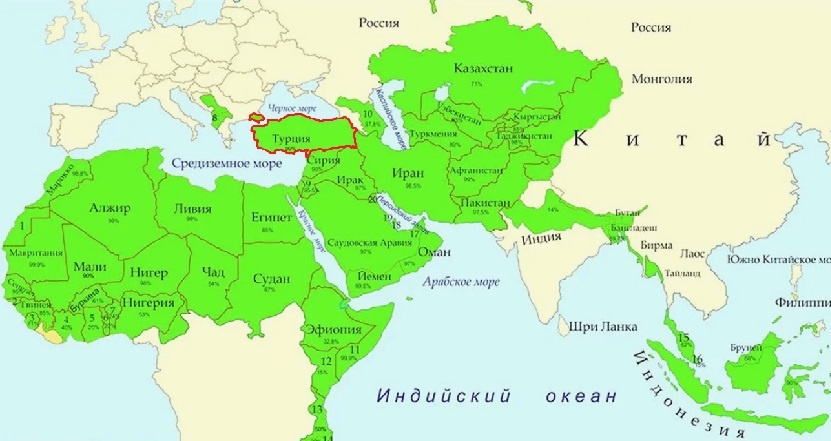 Турция на карте мусульманского мира. Фото из открытых источников.