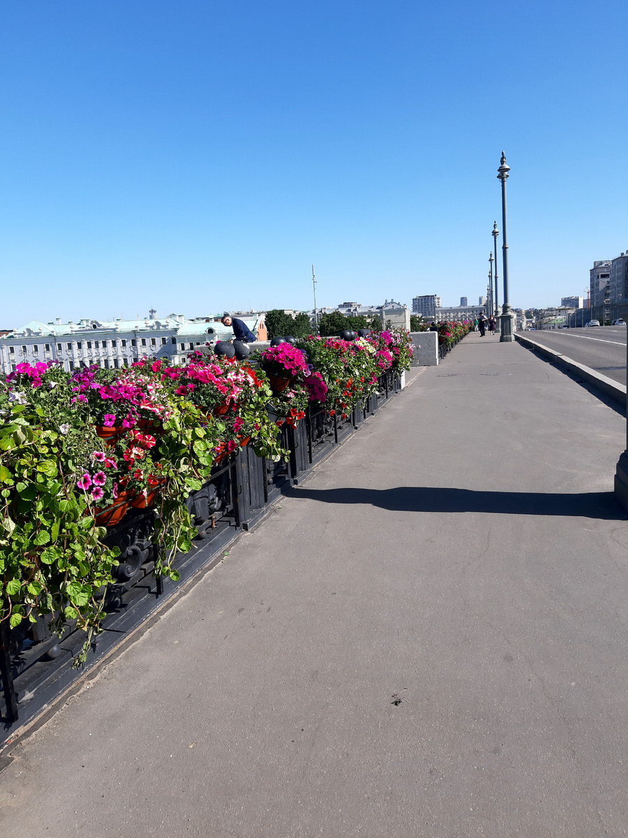 Лето 2025 в Москве. Буйство летних красок на фестивале «Сады и цветы». «Цветущий» Большой Каменный мост.