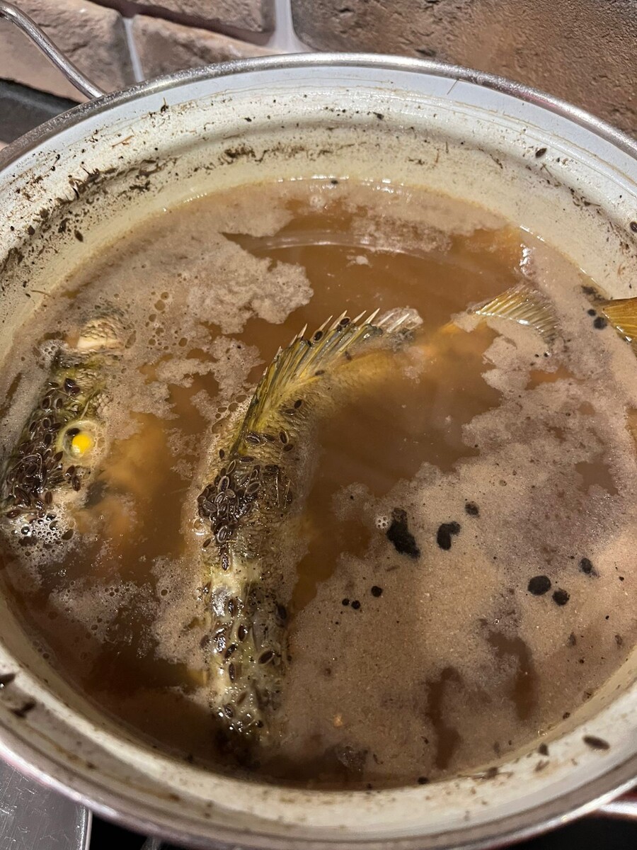 фото из личного архива