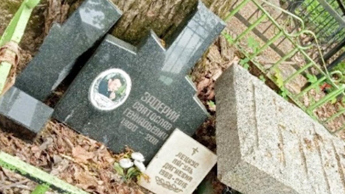    Фото: соцсети