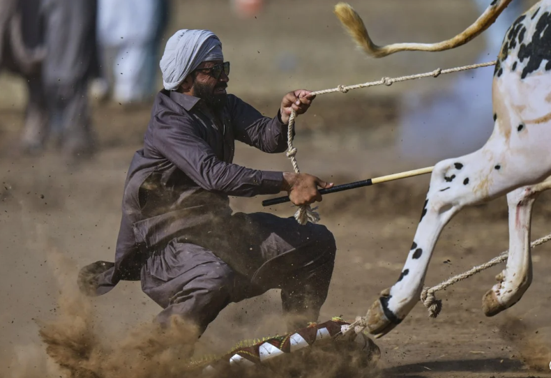 Если одежда темная, то тюрбан должен быть светлым