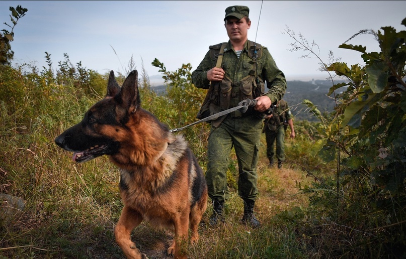 Юрий Смитюк/ ТАСС