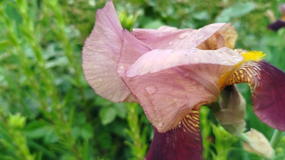    Фото: телеканал «Краснодар»