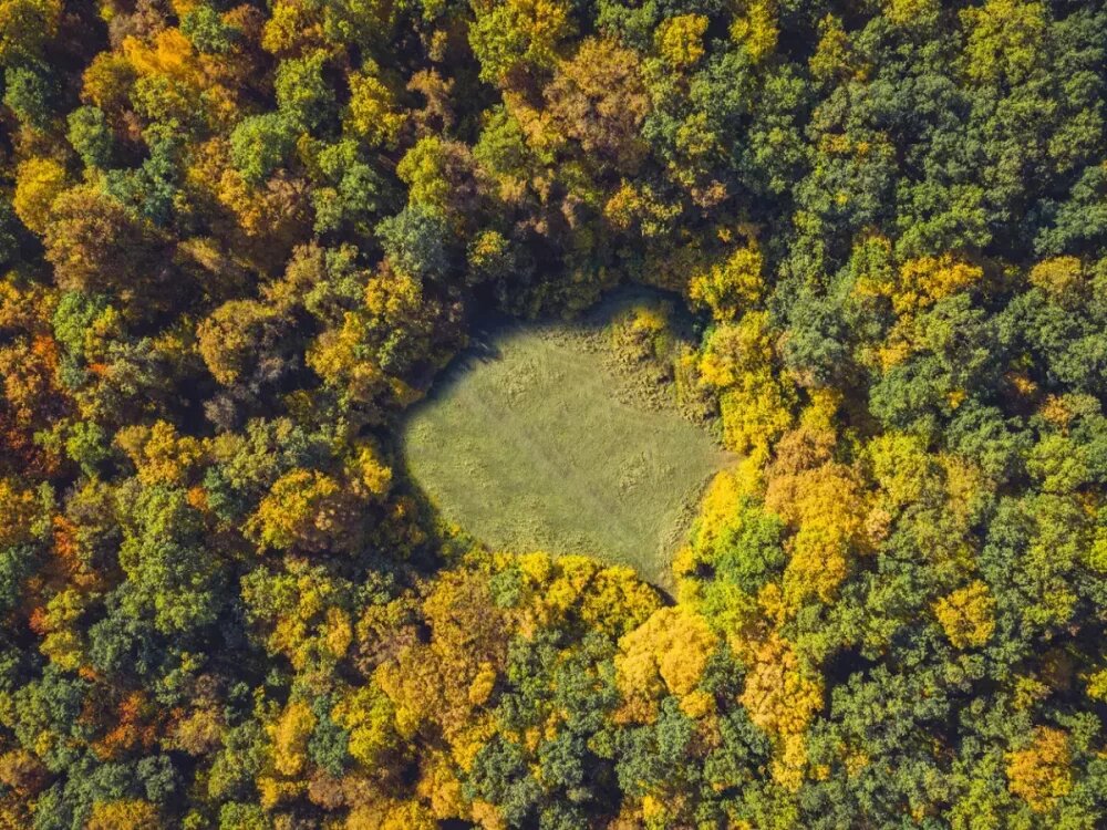 Изменение сайт картинки https://goo.su/dWRg9S Жуткая поляна
