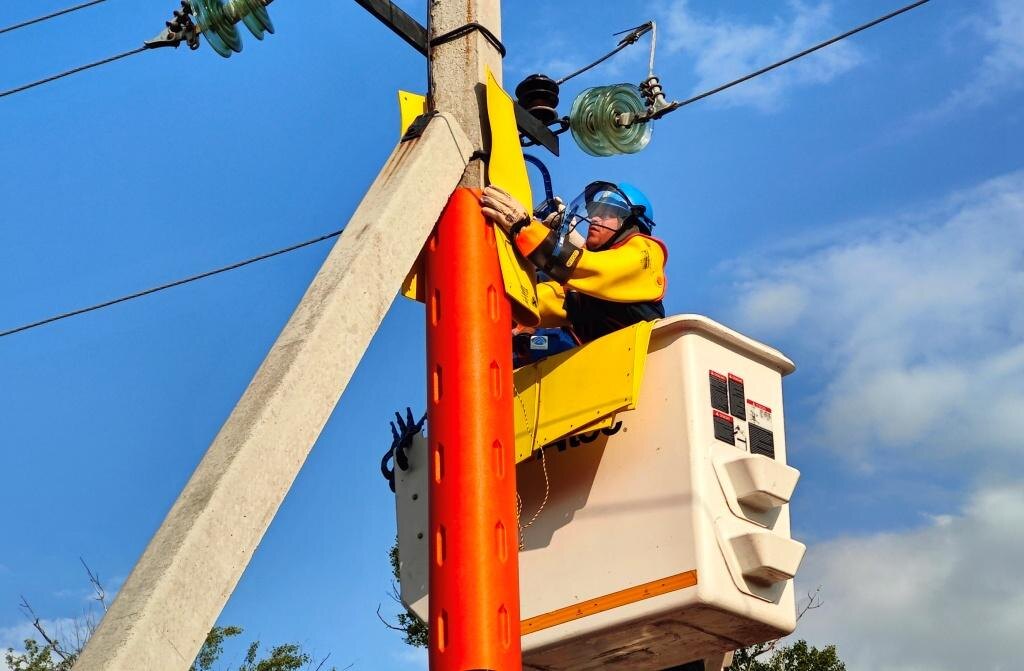    oplus_2 Ольга Щеглакова