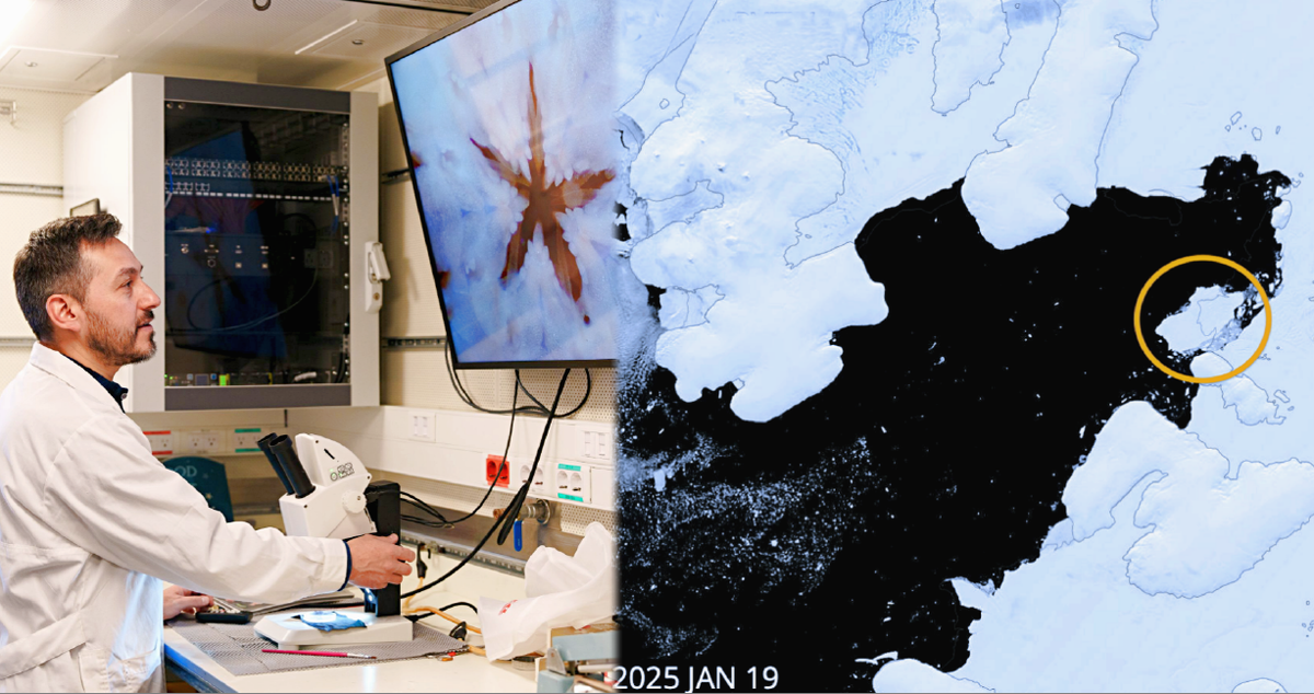 Работа идёт полным ходом.