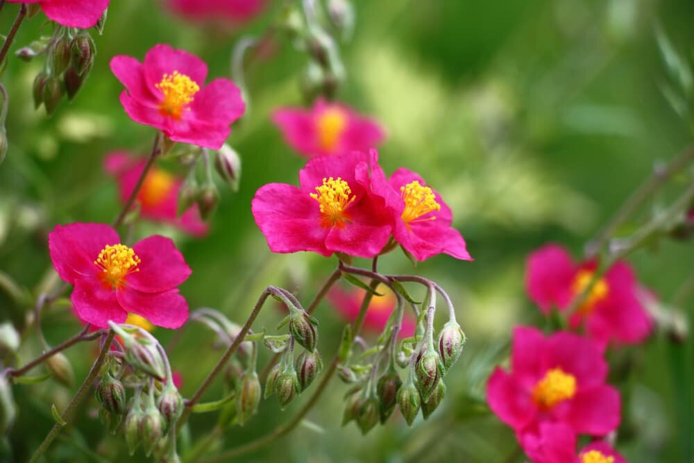 Фото TKO DIGITAL LTD