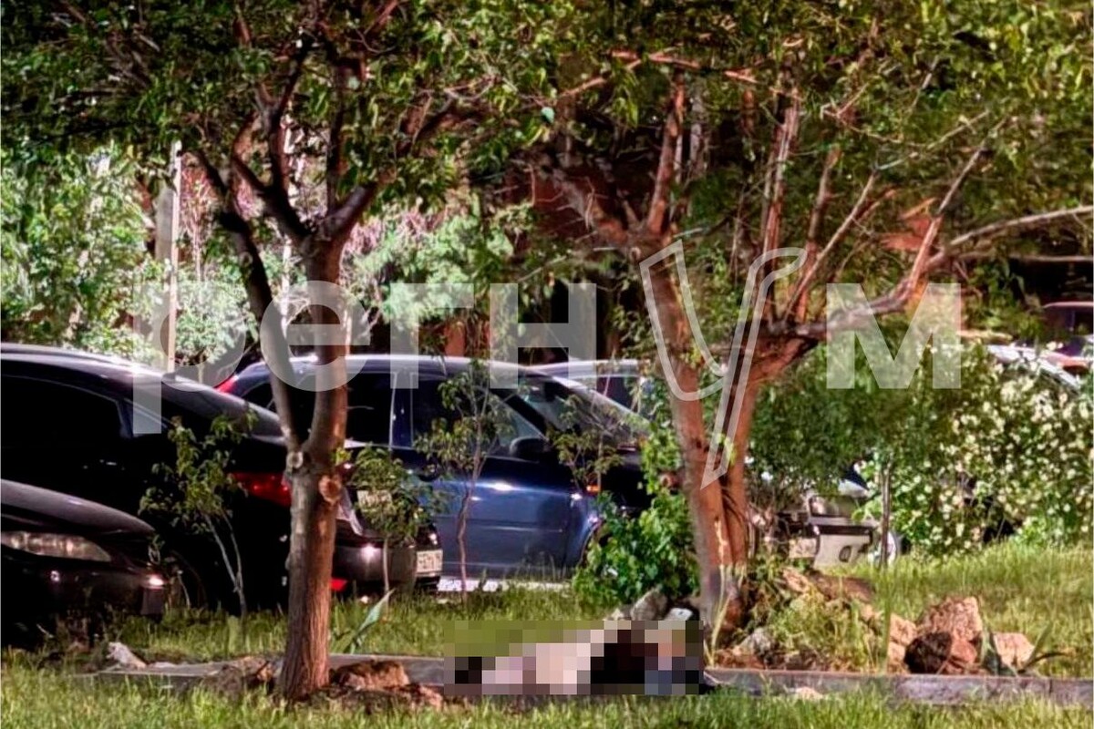    Фото с места происшествия / Источник: © ИА Регнум