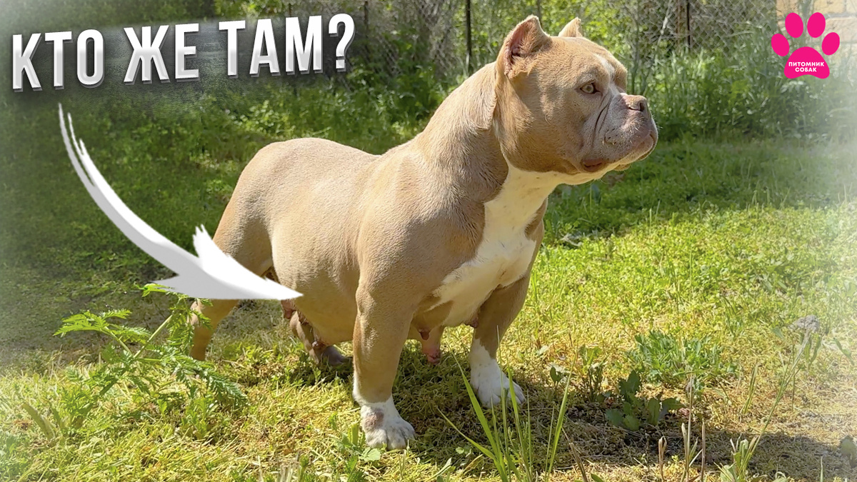 Новое видео!