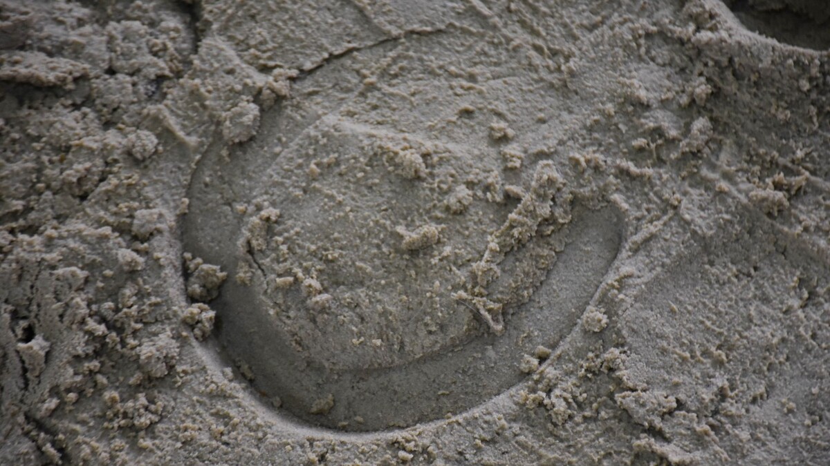     Источник: 1MI