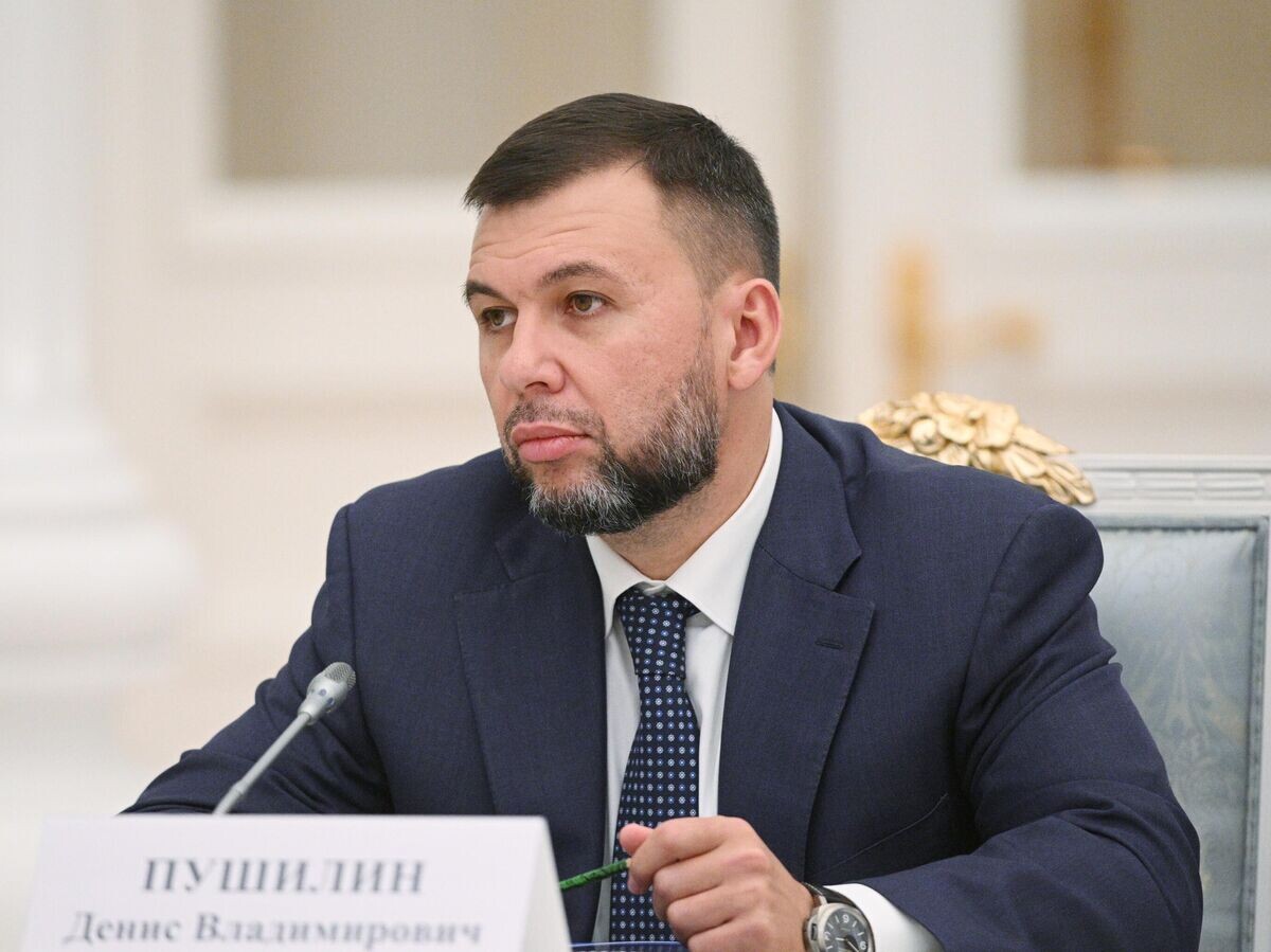    Денис Пушилин© РИА Новости / Рамиль Ситдиков