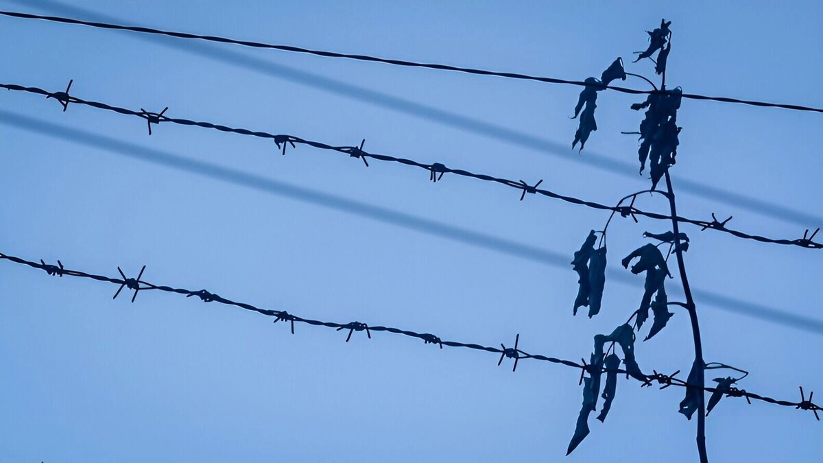     Источник: 1MI