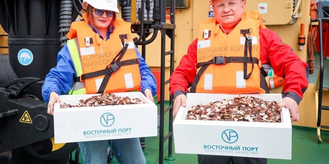 Восточный Порт» высадил в акваторию бухты Врангеля 24 тысячи молоди гребешка!