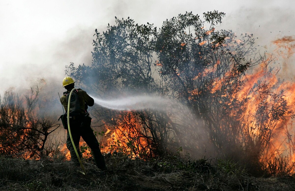     / Источник: © Jonathan Alcorn/ZUMAPRESS.com/Global Look Press