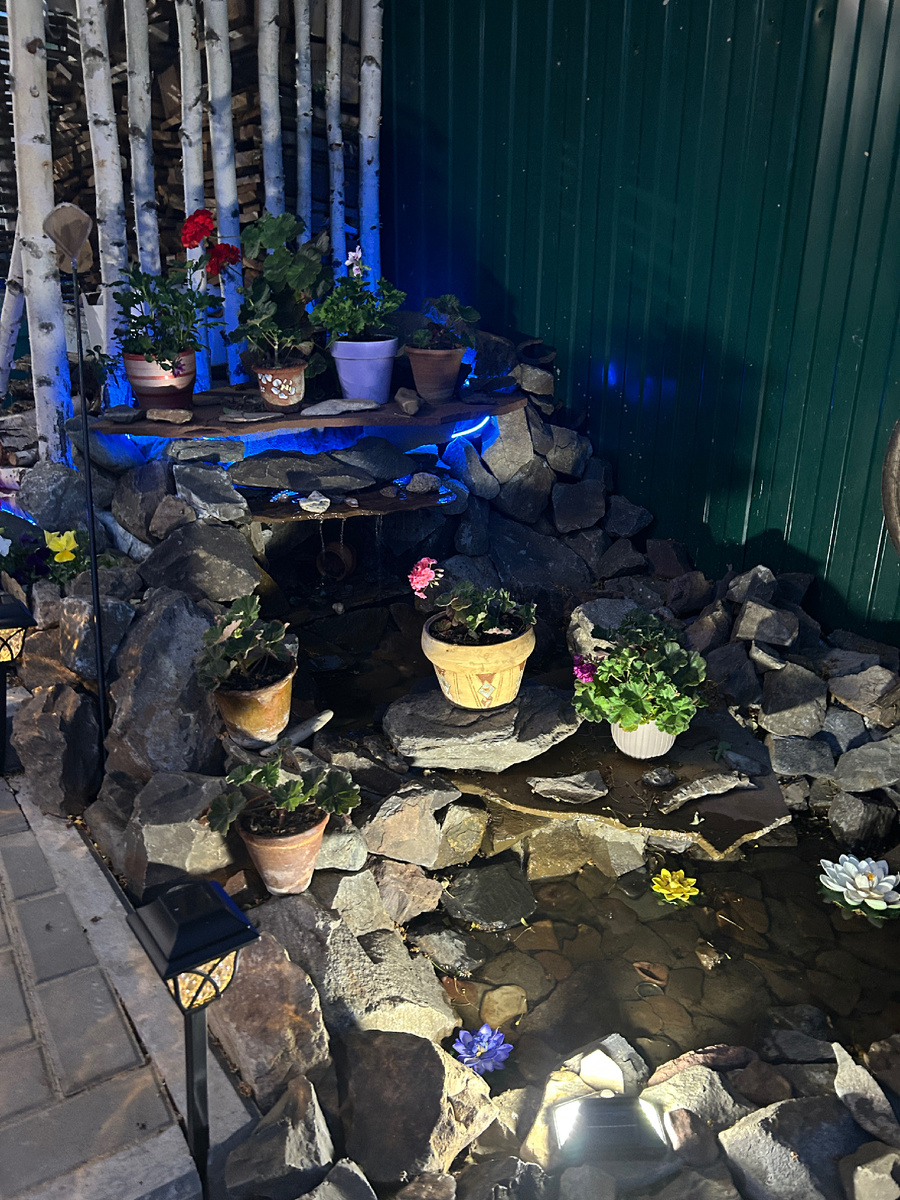 Фото автора