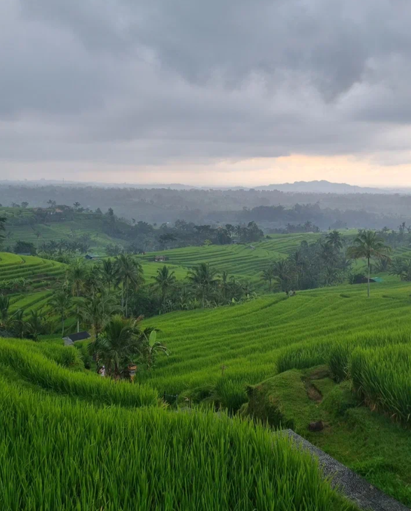 Безупречный Бали