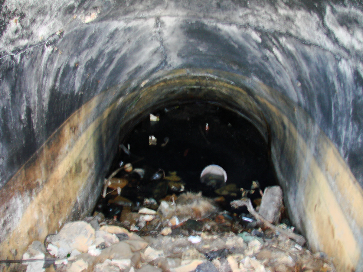 Так выглядит затопленный погреб