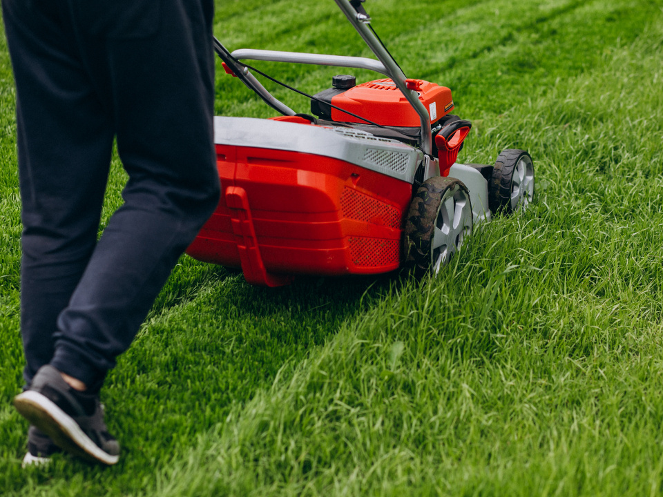     Фото: freepik.com