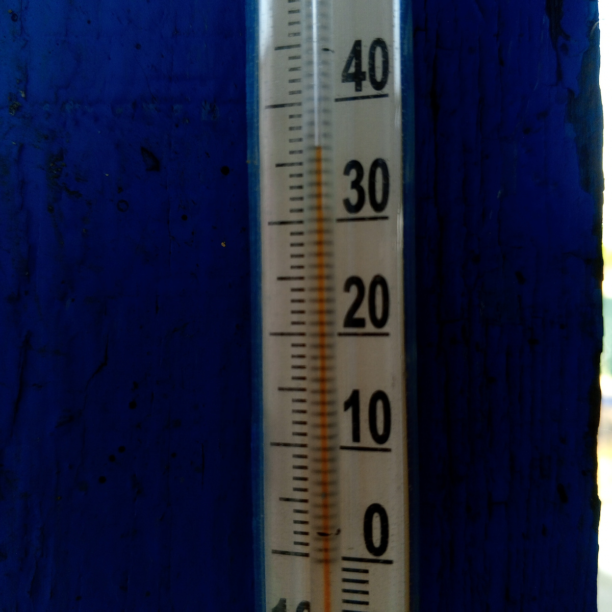 Термометр показывает.не совсем тень