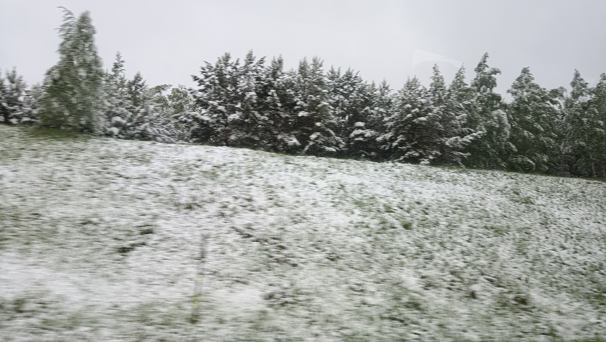 29.05.2025 Снегопад в Сибири, г.Красноярск