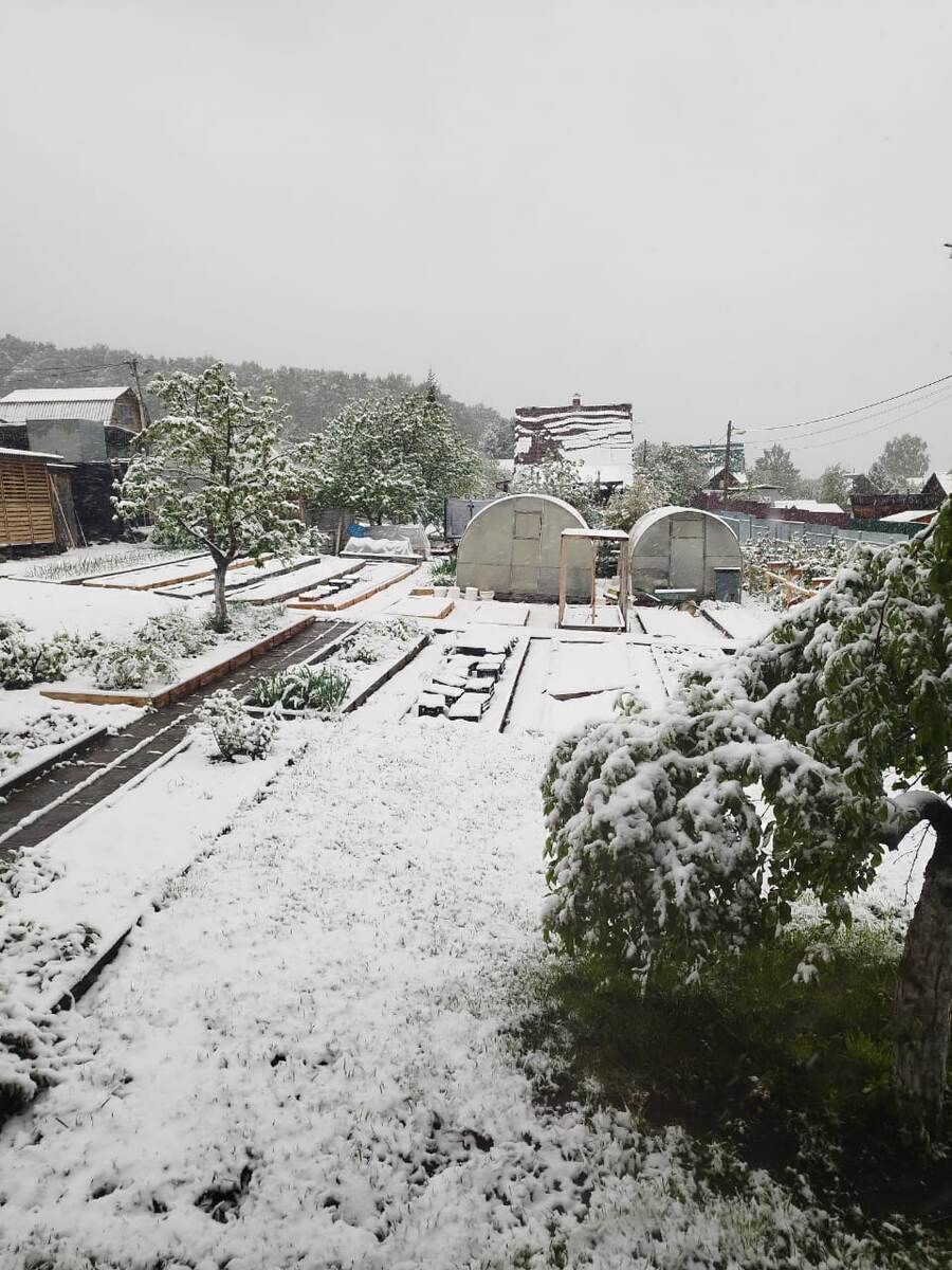 Конец мая, а на дачах в Сибири снег 