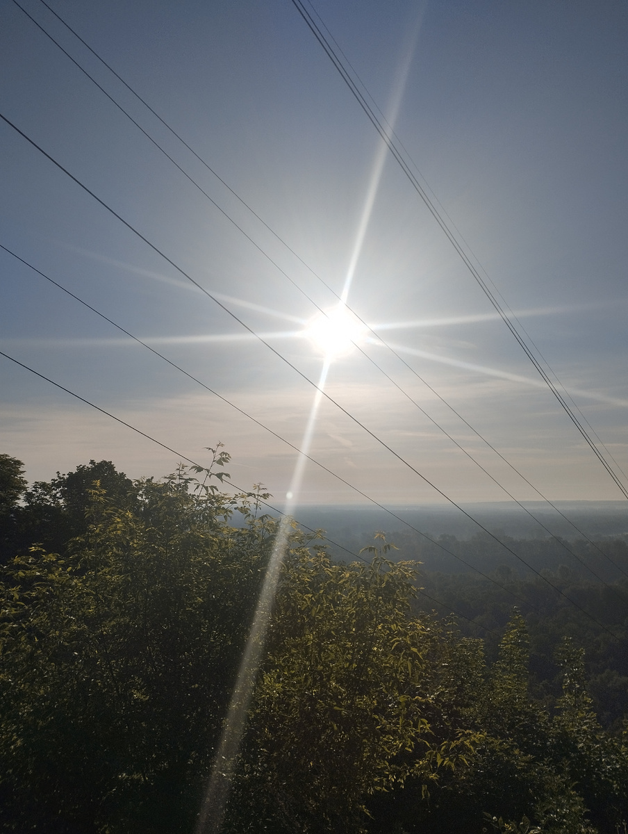 Фото мое в лесу♥💥