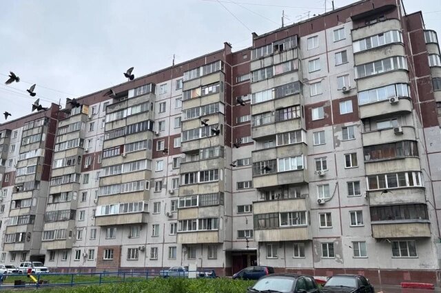    Дом, в котором обнаружили труп. Фото: АиФ-Новосибирск