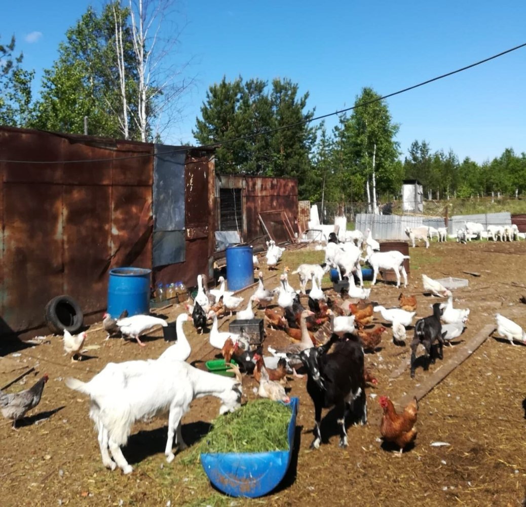    В гостях у бизнесменов