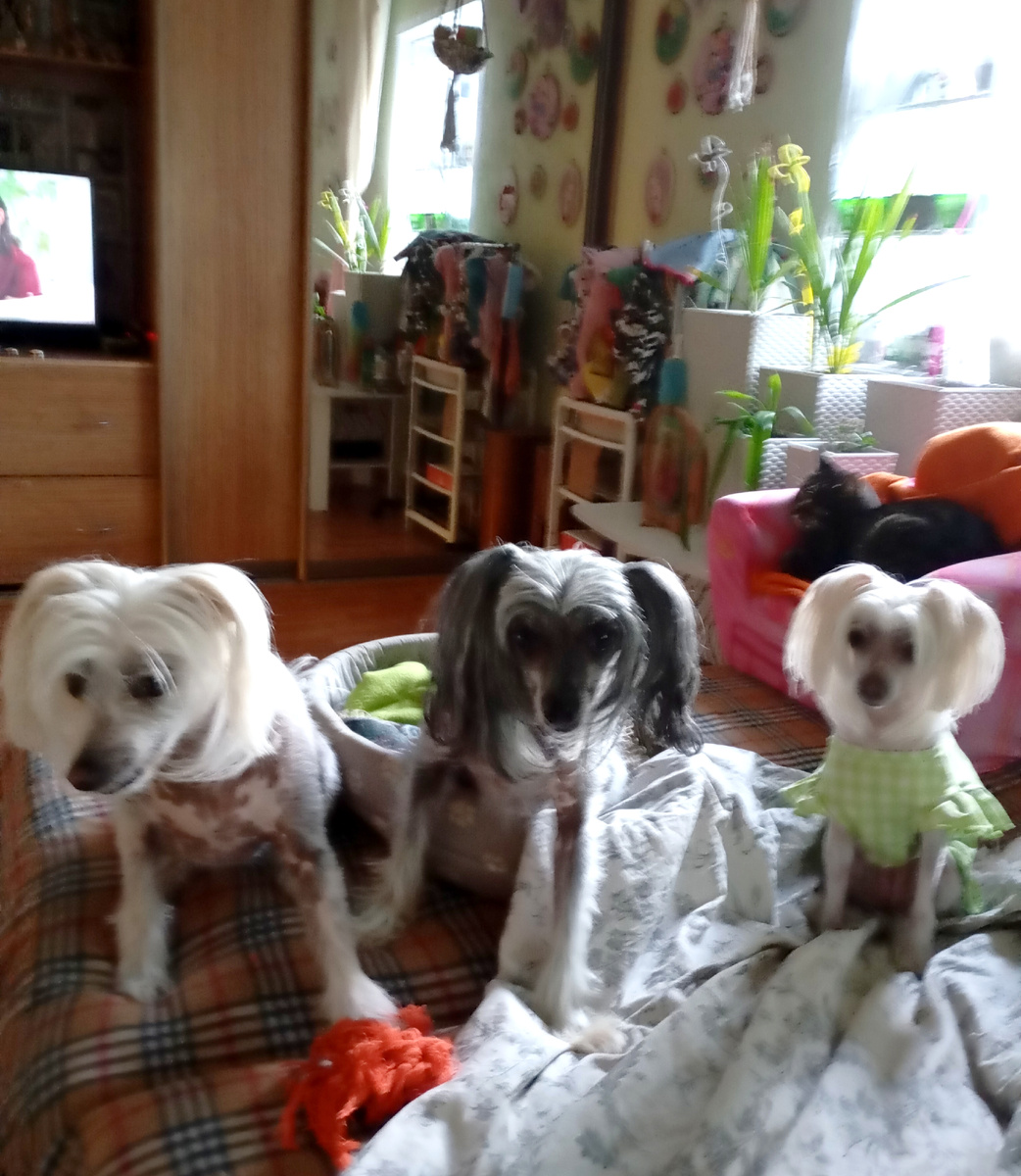 Мама, с добрым утром!