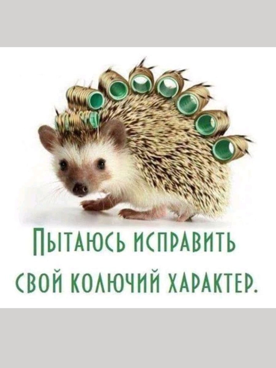 -3