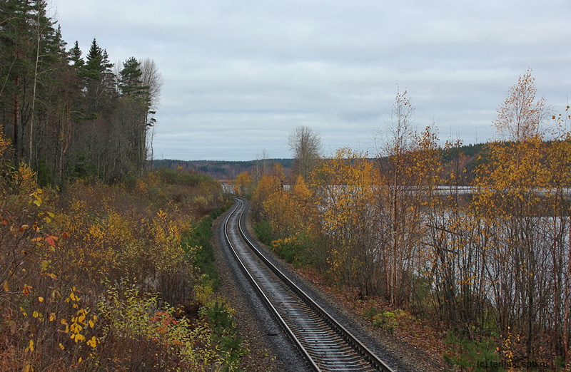 Участок Каменногорск - Светогорск: Начальный отрезок Светогорской ветки проложен по крутому берегу Каменногорского озера. Фото: А. Машинистов, 23.10.2011 г.