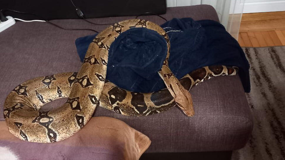 Фото: Telegram-канал начальника службы спасения Новороссийска Алексея Одерова